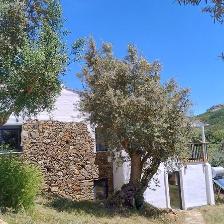 Bed and Breakfast Alegria Rustica 2 Rustic Happiness Envendos Exteriér fotografie