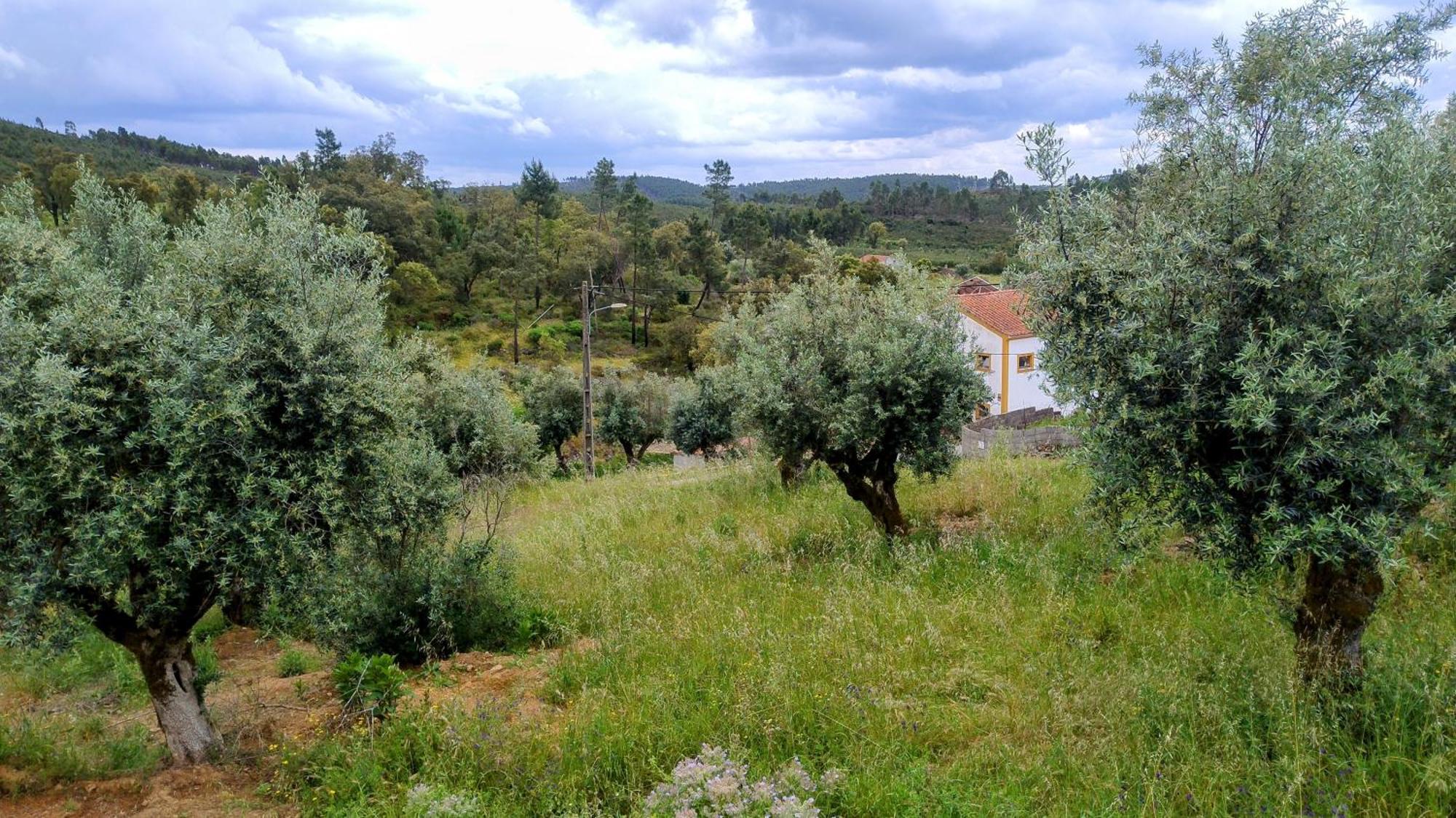 Bed and Breakfast Alegria Rustica 2 Rustic Happiness Envendos Exteriér fotografie